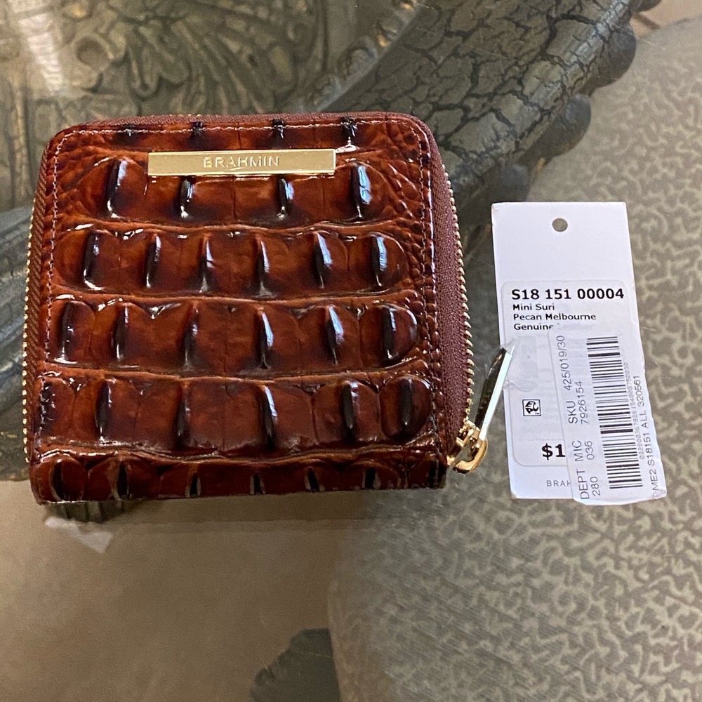 Brahmin mini suri
